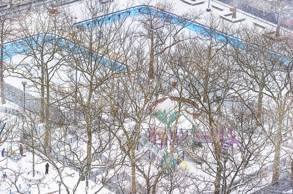 Photograph Mitchell Funk Snow Solitude on One Eyeland